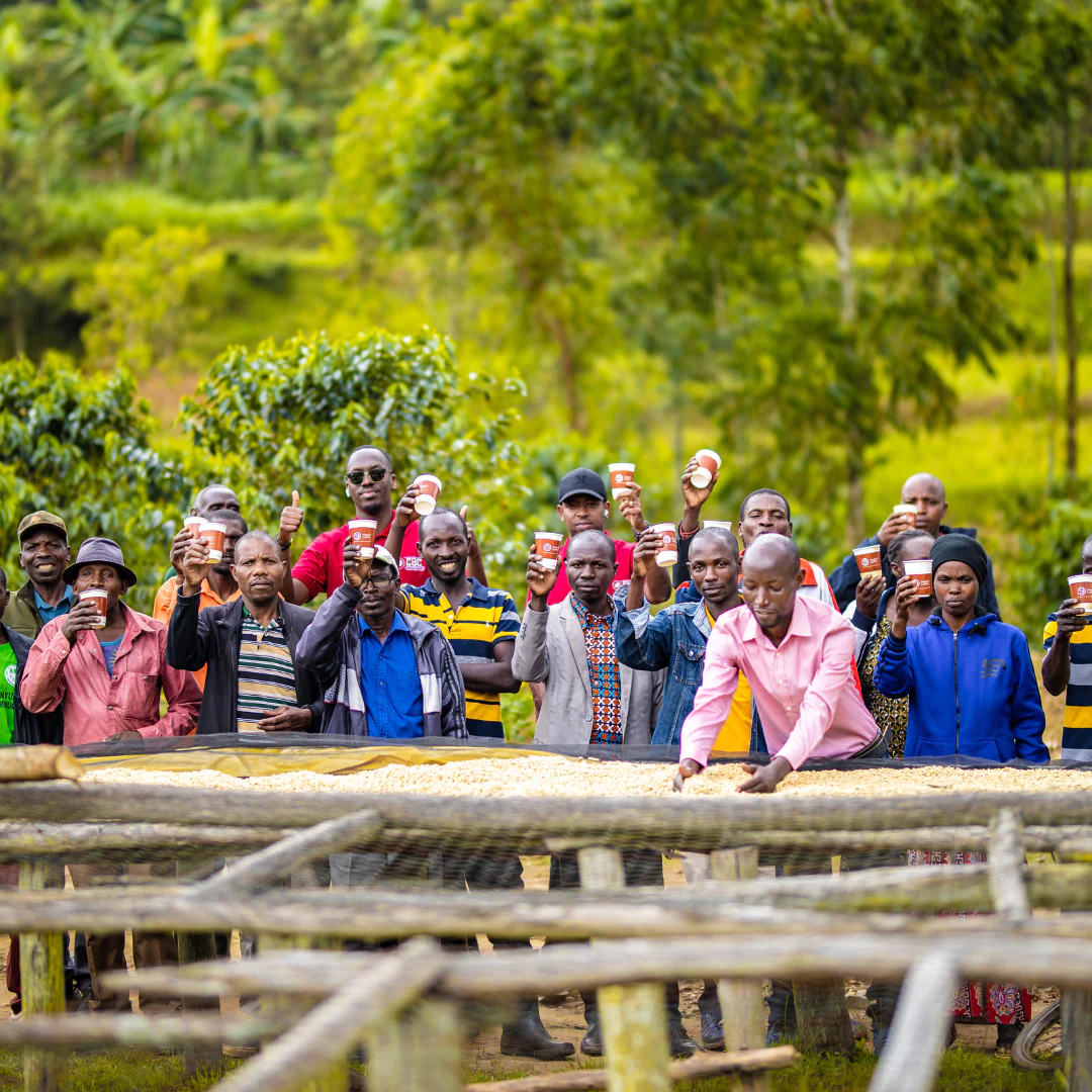 Muyongwe Coffee Farm